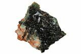 Deep-Green Libethenite Crystal Cluster #169805-1